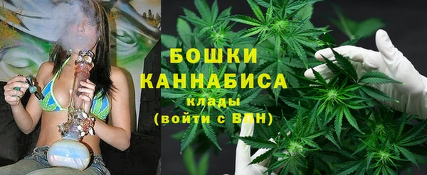 крисы Алзамай