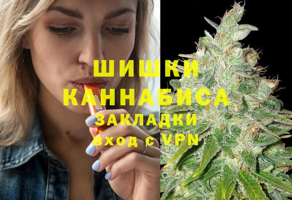 ГАЛЛЮЦИНОГЕННЫЕ ГРИБЫ Алексин