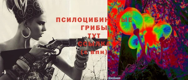 крисы Алзамай