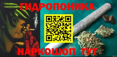 спиды Свободный