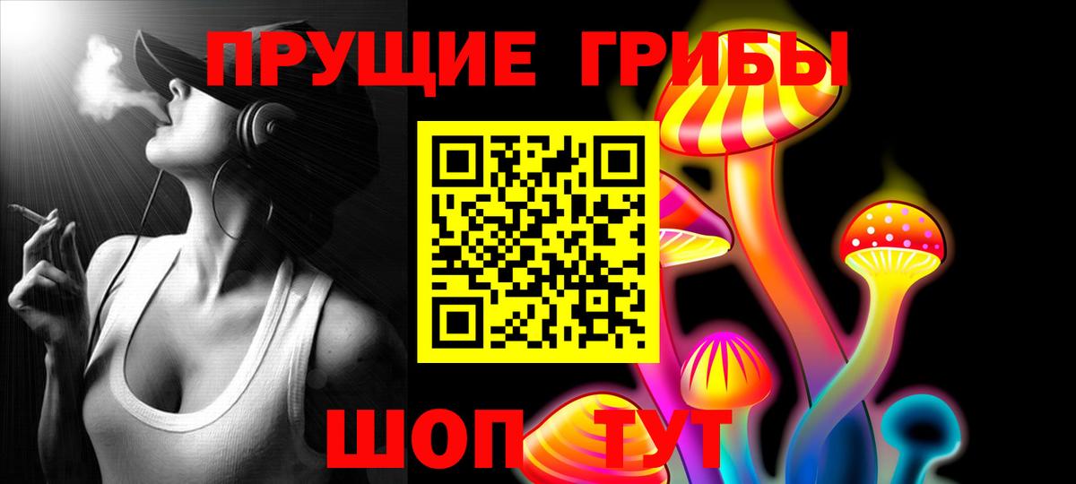Галлюциногенные грибы Cubensis  Псилоцибиновые грибы Cubensis  Вход с VPN  Балашов 