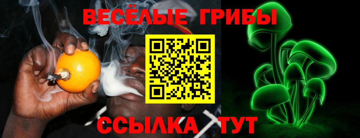 Псилоцибиновые грибы ЛСД Балашов