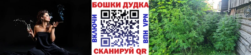 Бошки марихуана сатива  Балашов 
